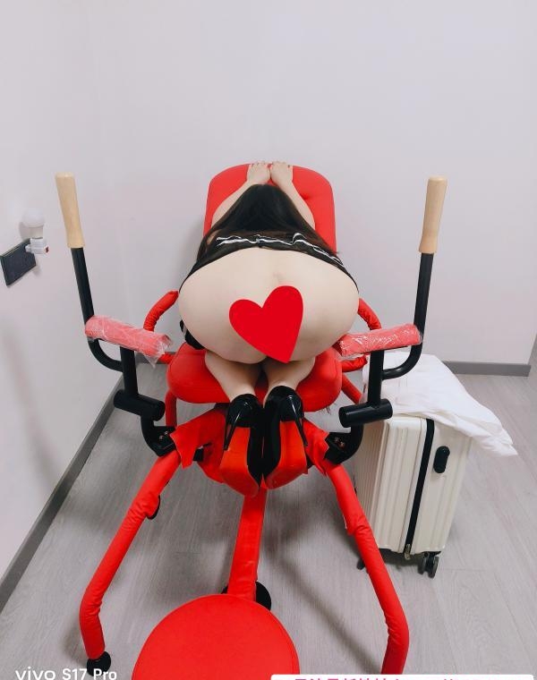 武汉奶兔 1