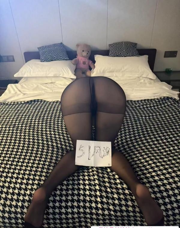 南开小懒猪 2