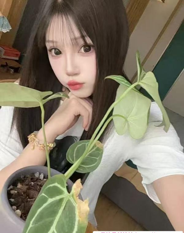 又萝又御的汉口小妹 2