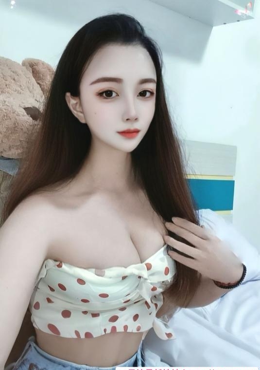 白云服务控菲菲 3