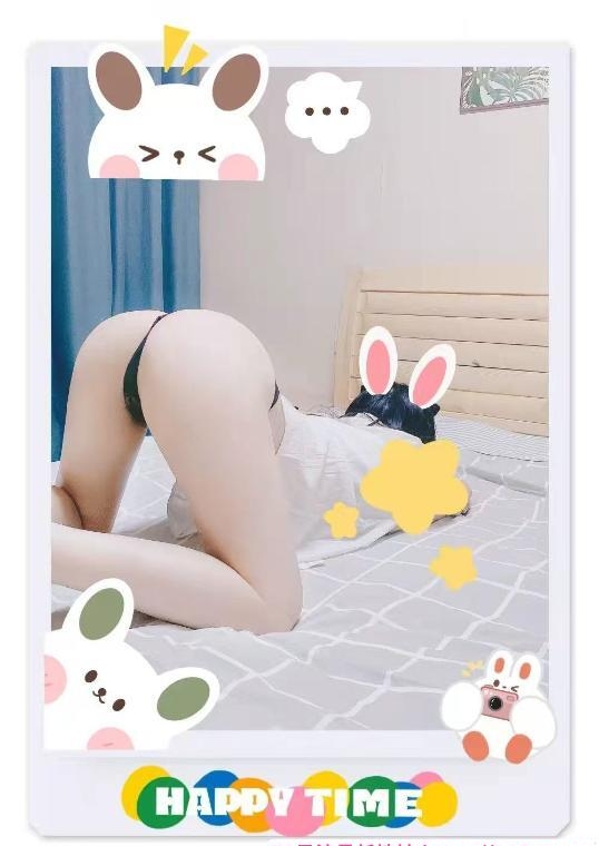 袁家岗小野猫 4