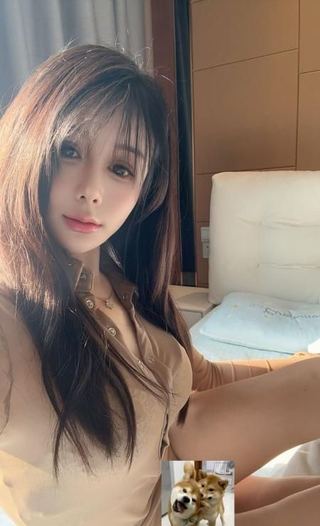 合肥梦儿