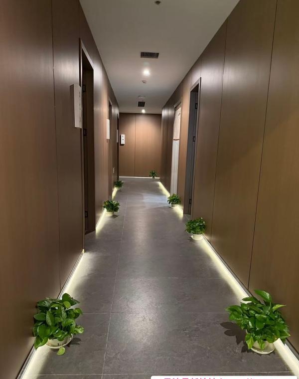 全裸大型T台海选 2