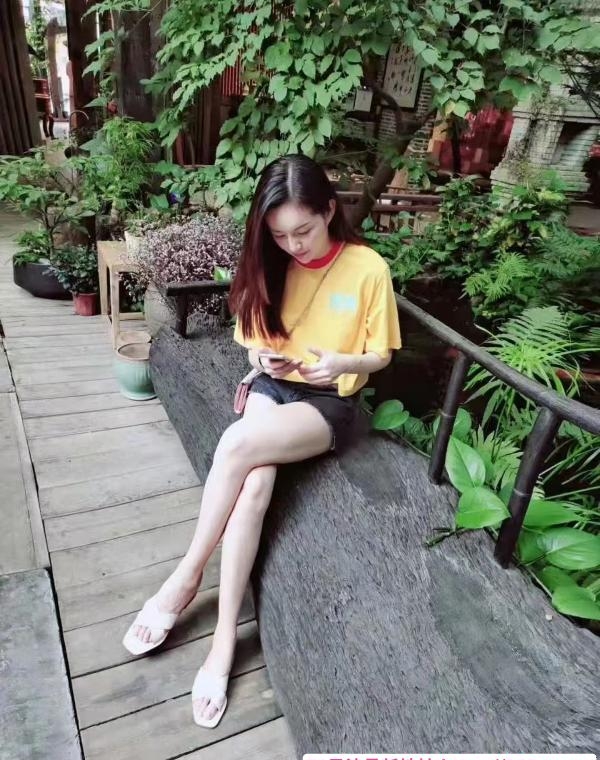 南山素锦回归 3
