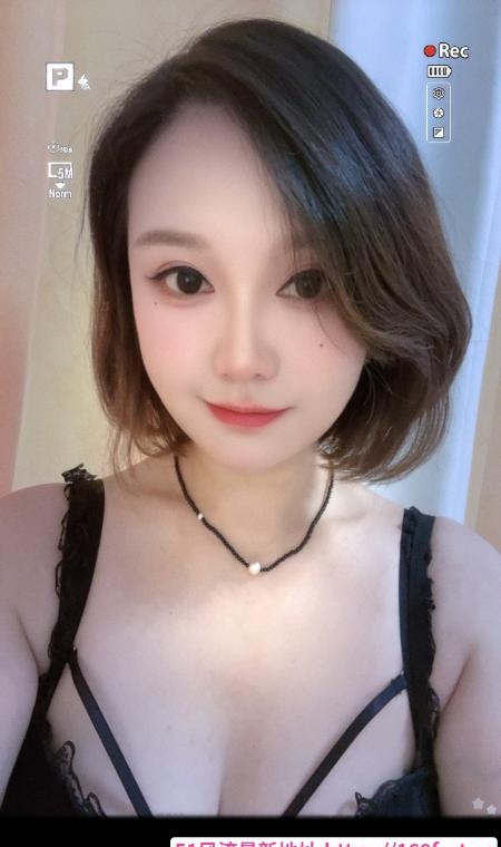 汉阳小野猫服务系 1
